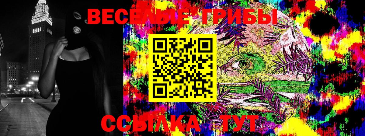 Мичуринск  Галлюциногенные грибы мицелий  где можно купить наркотик  Вход с VPN  Псилоцибиновые грибы Magic Shrooms 
